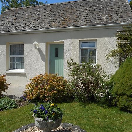 كرمرثن Glascoed Farmhouse المظهر الخارجي الصورة